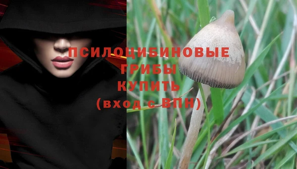 дмт Волоколамск